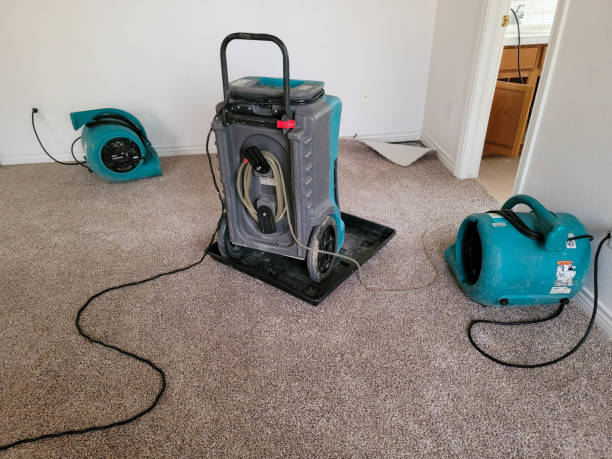 Best Mold removal after water damage  in Tabor City, NC