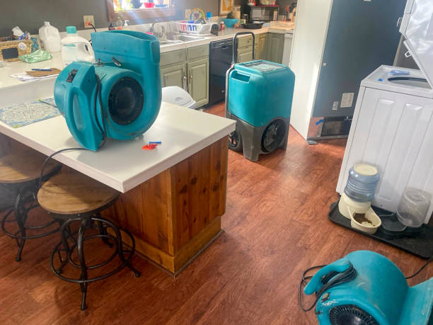 Best Local water damage restoration  in Tabor City, NC