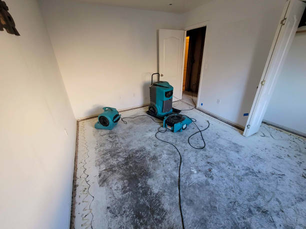 Best 24/7 water damage repair  in Tabor City, NC