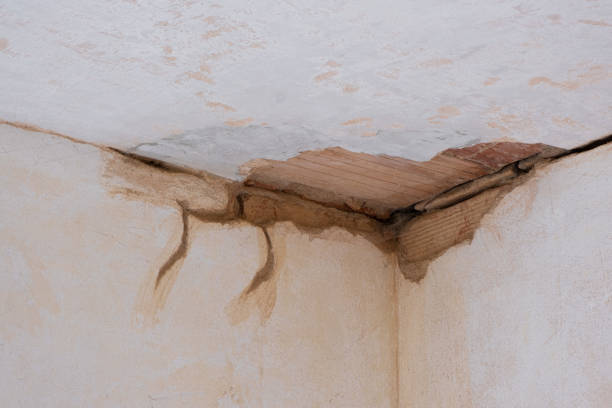 Best Fire Damage Restoration  in Tabor City, NC