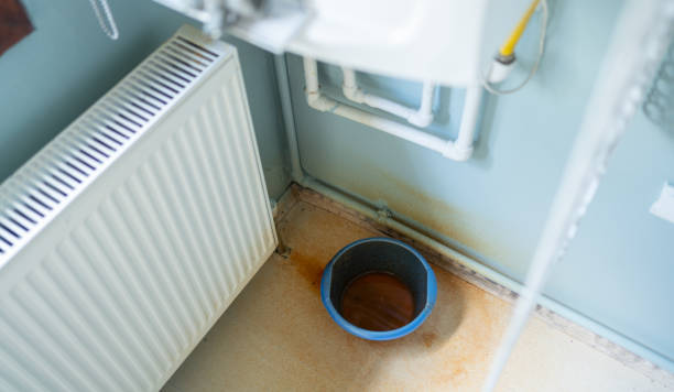 Best Water damage restoration specialists  in Tabor City, NC