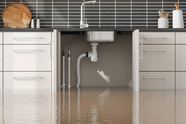 Best Sewage cleanup and water damage restoration  in Tabor City, NC