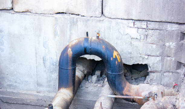 Best Carpet water damage restoration  in Tabor City, NC