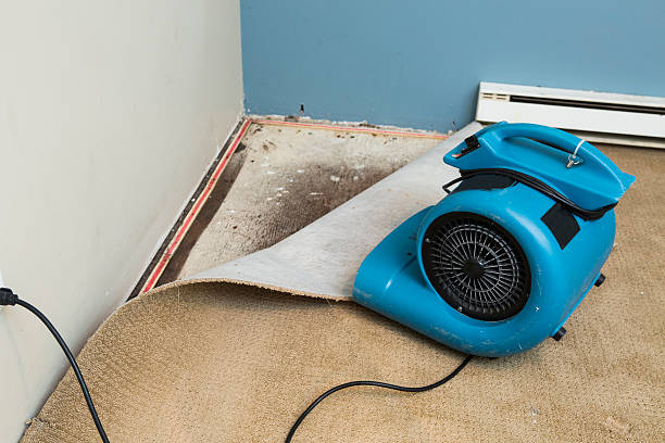 24/7 water damage repair in Tabor City, NC